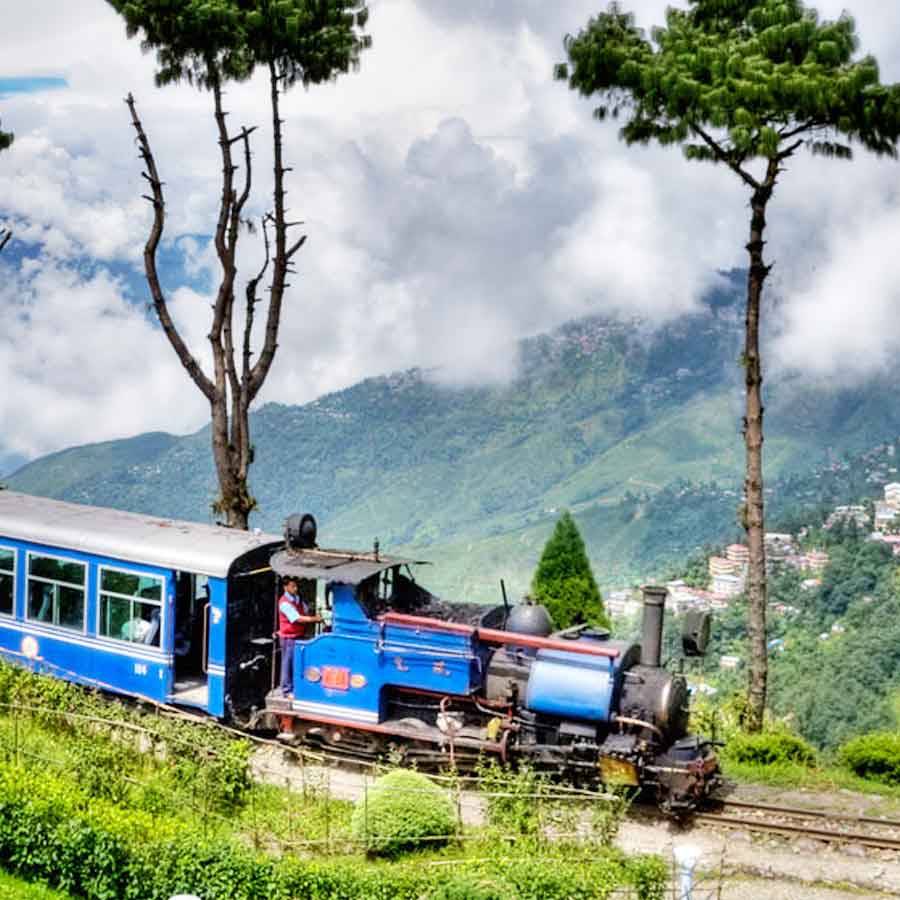 Gracefull Darjeeling & Sikkim